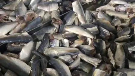 Délicieuses sardines de poisson en conserve dans de l'huile végétale en provenance de Chine