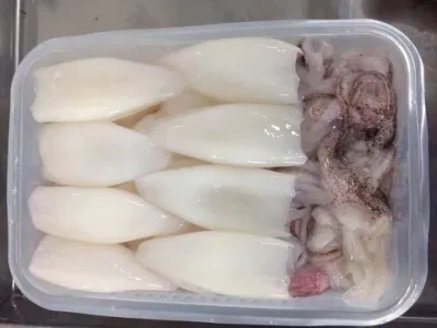 Calamars/calmars/calamars surgelés T+T (tube+tentacule) Pota/Sotong